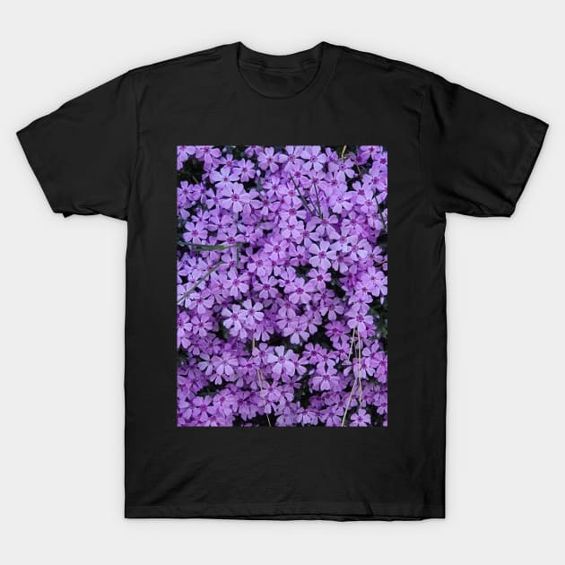 Verbena Flower T-Shirt by Alemway